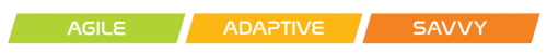agile adaptive savvy